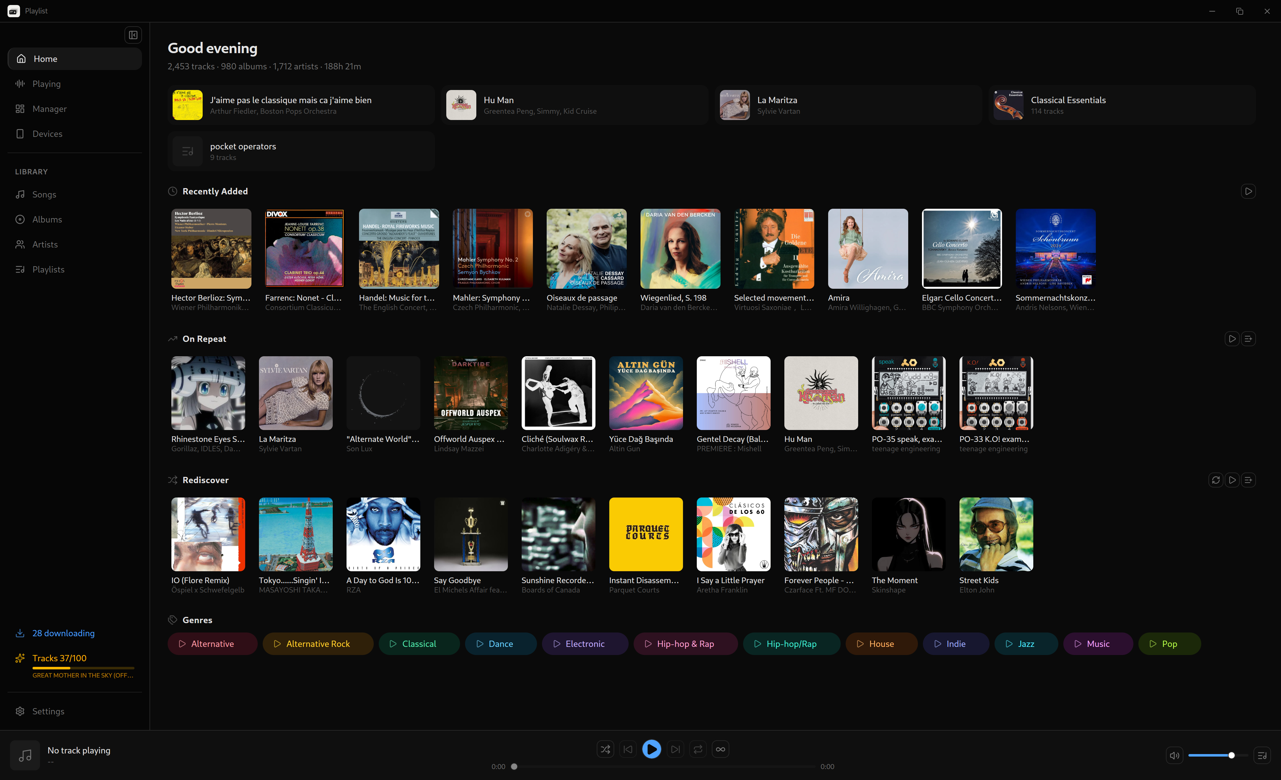 Playlist — Main Library View